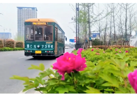 牡丹开出文旅新意 凯发k8国际首页登录助洛阳迎盛会